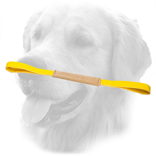 Golden Retriever Bite Tug with Nylon Handles