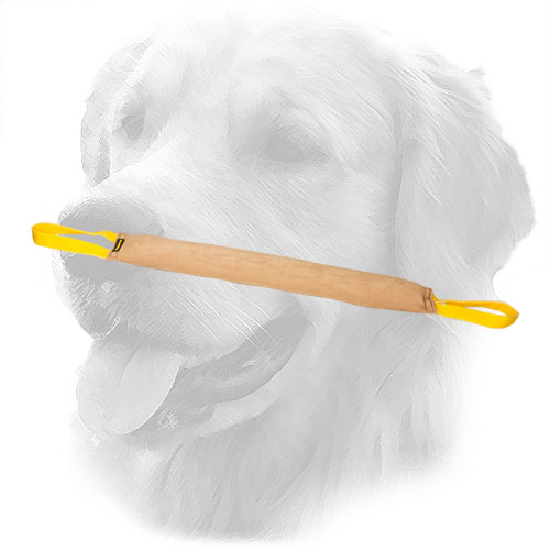 Golden Retriever Bite Tug for Pro Training