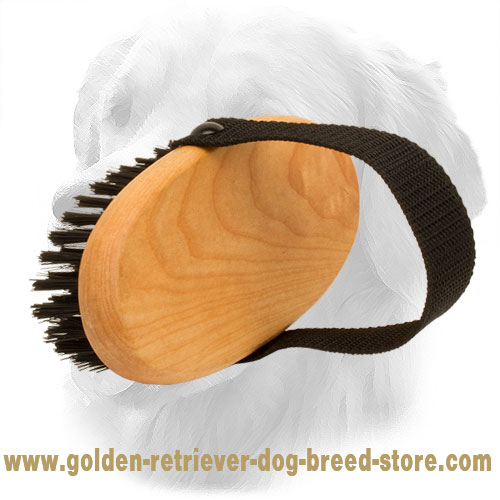 Golden Retriever Brush with Nylon Handle
