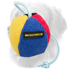 Golden Retriever French Linen Toy Stitched Colored Surface