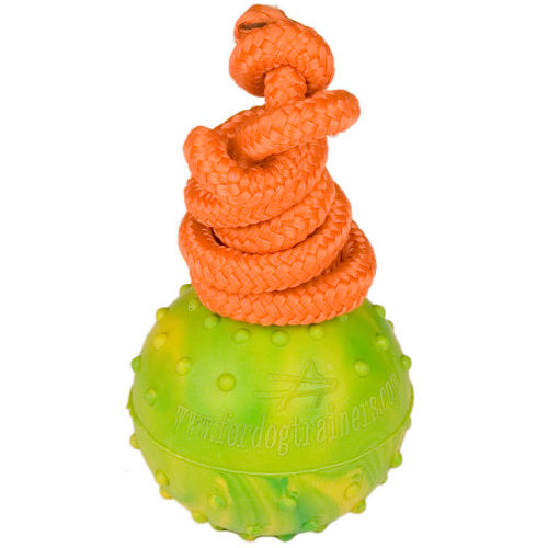 Golden Retriever Ball for Dog Training