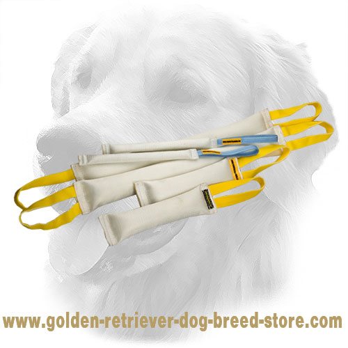 Fire Hose Golden Retriever Bite Training Set for Retrieve Item Training