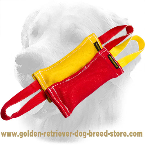 French Linen Golden Retriever Bite Training Set