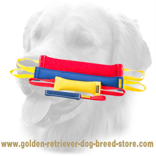 French Linen Golden Retriever Bite Training Set of 4 Tools