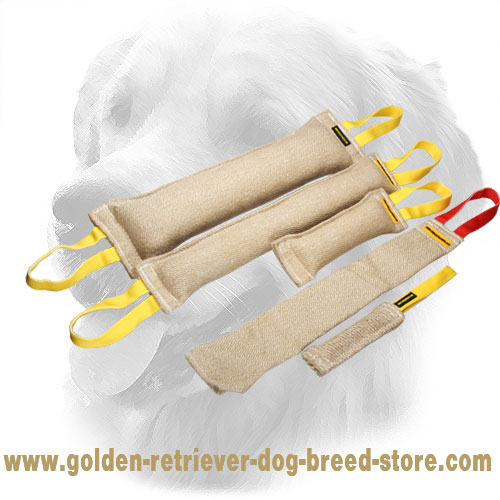Jute Golden Retriever Bite Training Set for Adult Dogs