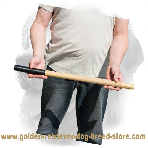 Golden Retriever Stick for Schutzhund Training