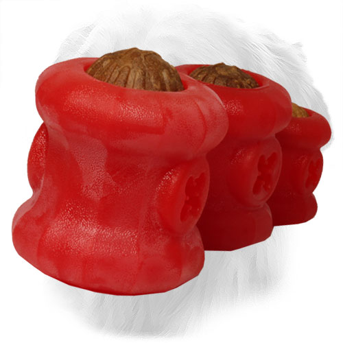 Rubber Golden Retriever Toy for Holding Treats