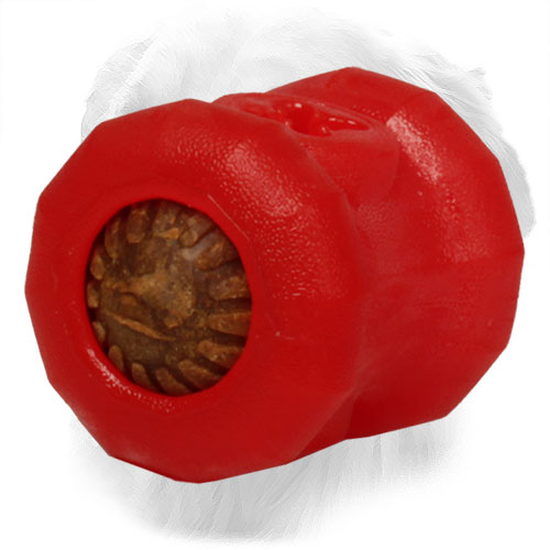 Dog-Safe Golden Retriever Toy