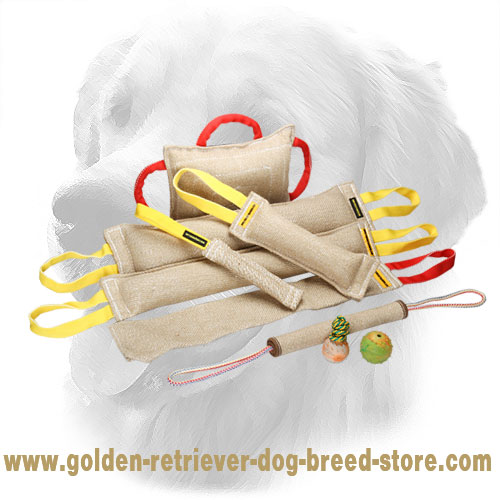 Jute Golden Retriever Bite Training Set of 9 Items