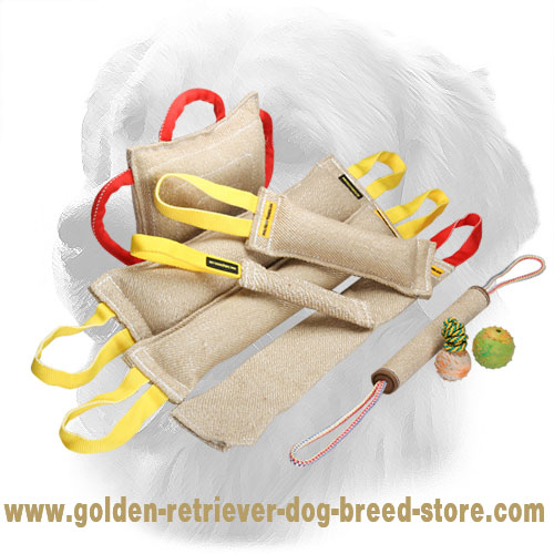 Jute Golden Retriever Bite Training Set of 9 Tools