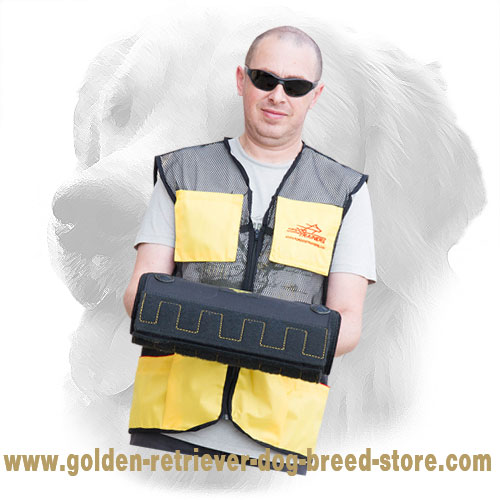 Golden Retriever Bite Builder for Dog Training