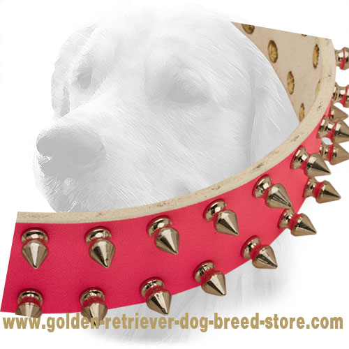 retriever brand dog collars