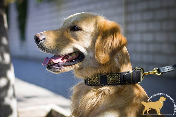 Extravagant Leather Golden Retriever Collar with Antique Decor