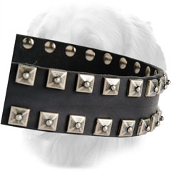Decorations on Leather Golden Retriever Collar 