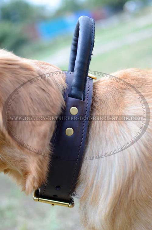 Soft to Touch Handle on Leather Dog Collar