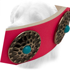 Nickel Circles on Golden Retriever Collar