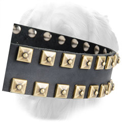 Golden-Like Studs on Leather Golden Retriever Collar