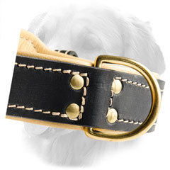 Durable D-Ring on Royal Dog Collar