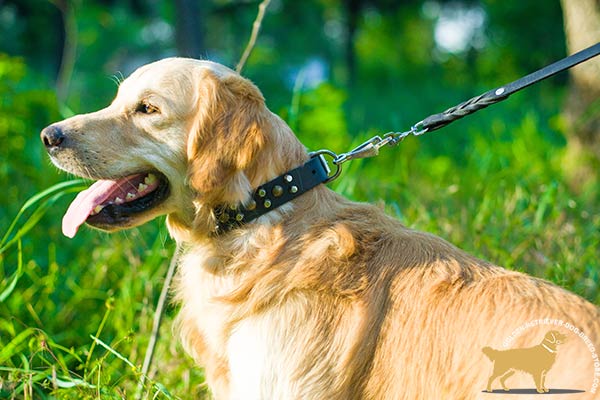 Extraordinary Leather Dog Collar with Studs and Cones