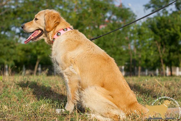 Adorned Pink Leather  Collar for Female Dogs