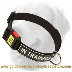 Nylon Collar for Obedience Training