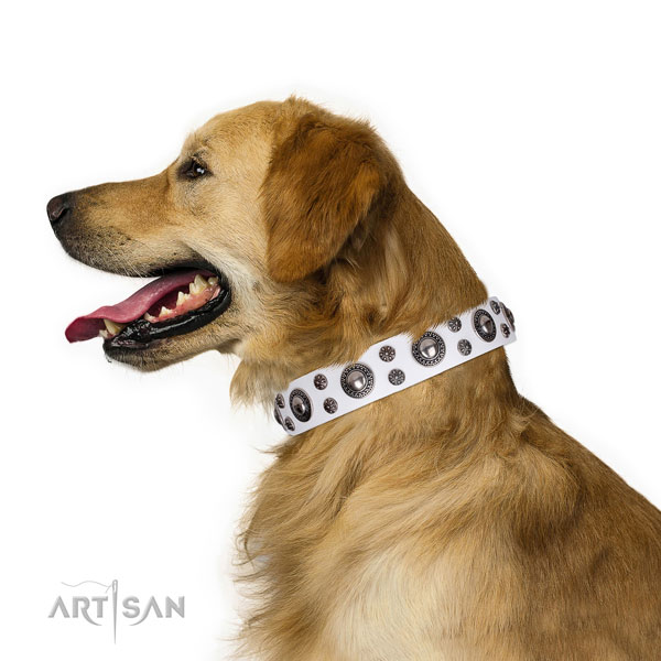 Daily use decorated dog collar of top notch natural leather