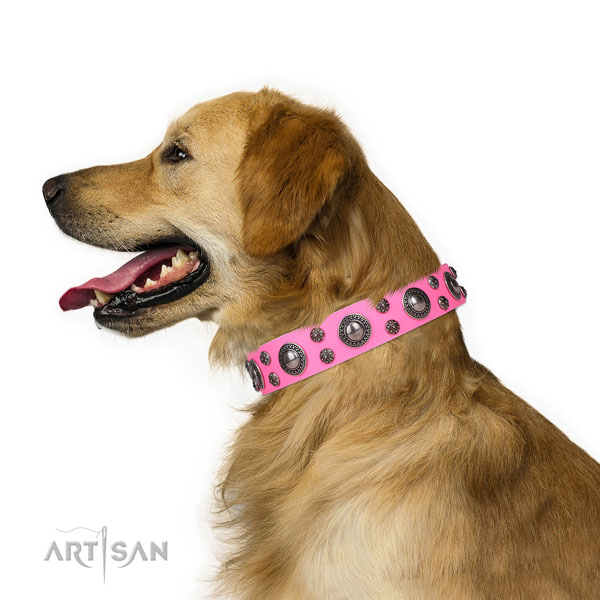 Comfy wearing decorated dog collar of top quality genuine leather