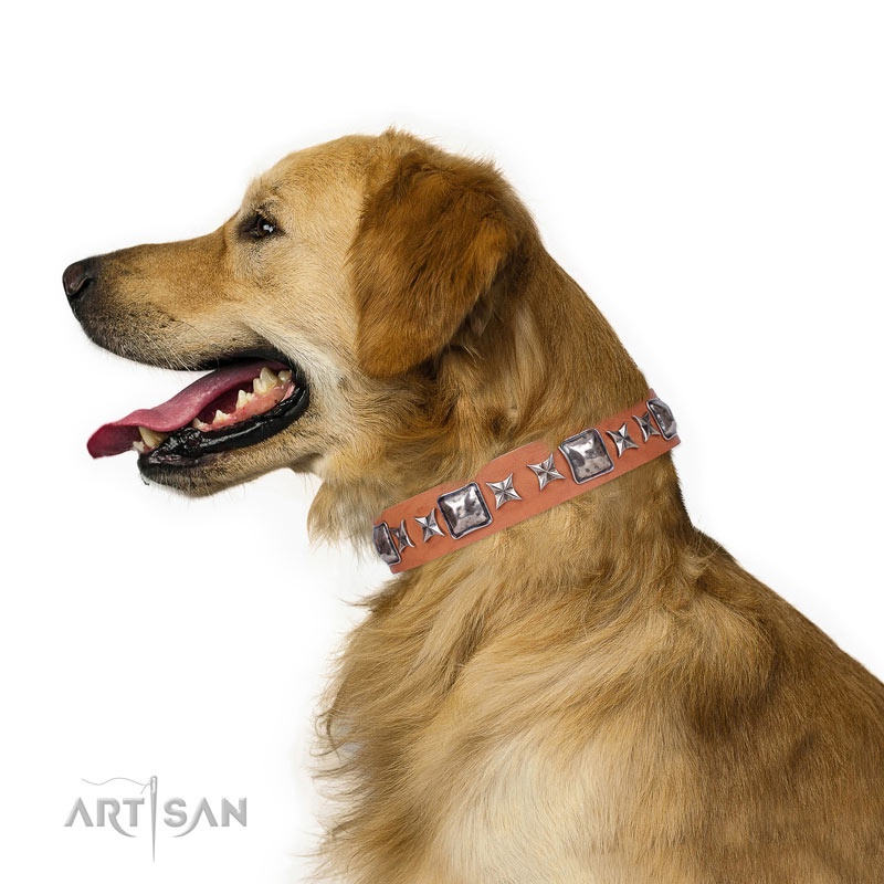 Best collar for golden retriever sale