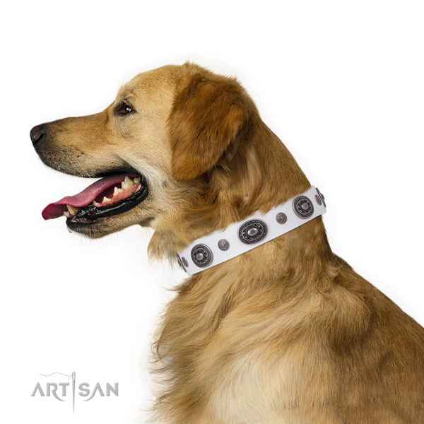 Full grain leather dog collar with strong buckle and D-ring for walking