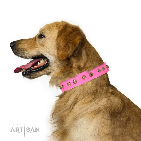 Unusual adornments on comfy wearing leather dog collar