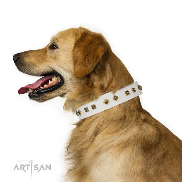 Stylish design embellishments on daily use dog collar
