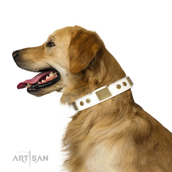 Top notch daily walking dog collar of genuine leather