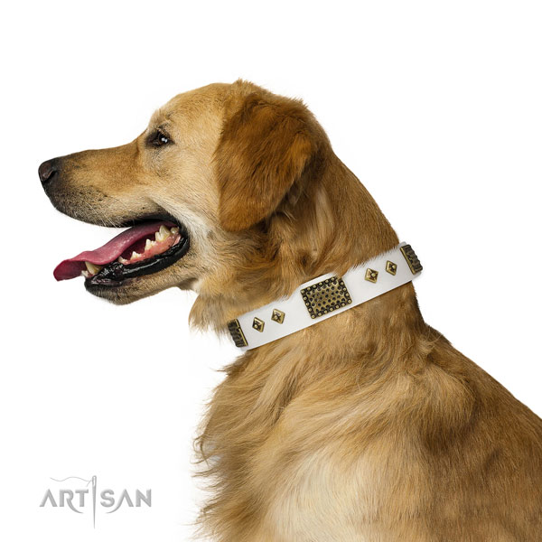 Everyday use dog collar of natural leather with awesome embellishments