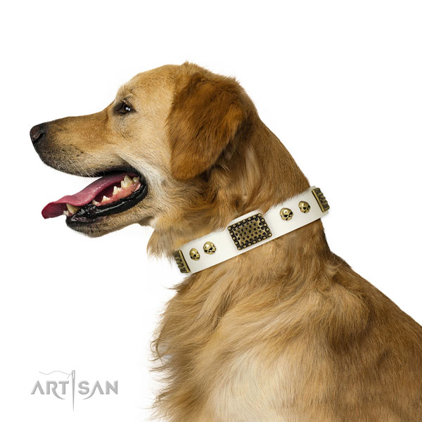 Reliable hardware on full grain genuine leather dog collar for basic training