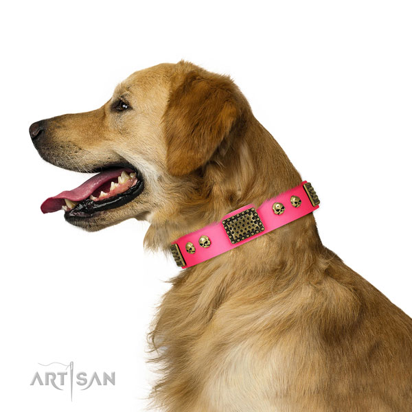 Rust resistant buckle on leather dog collar for basic training
