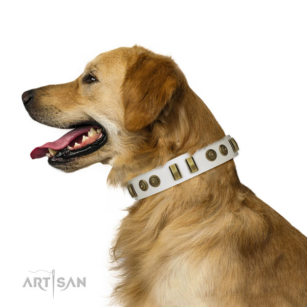 Walking dog collar of natural leather with stylish embellishments