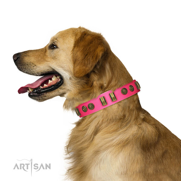 Comfortable wearing dog collar of genuine leather with awesome adornments