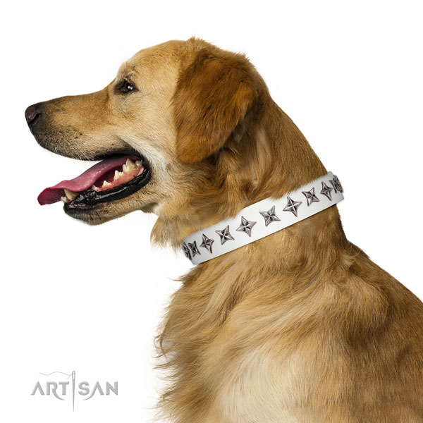 Best quality leather dog collar with exquisite adornments
