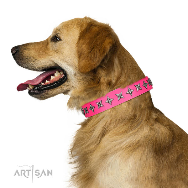 Finest quality full grain leather dog collar with amazing decorations