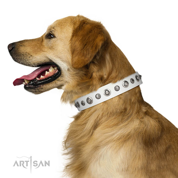 Natural leather collar with corrosion resistant buckle for your stylish canine