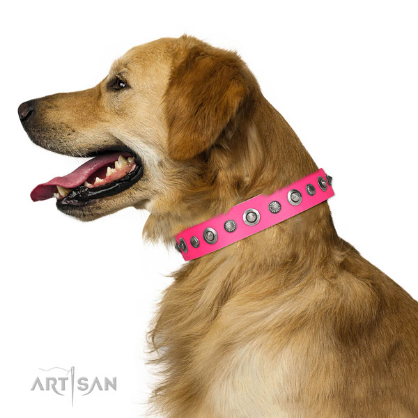 Natural leather collar with corrosion proof buckle for your attractive doggie
