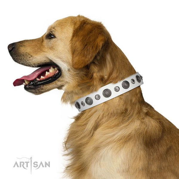 Exceptional genuine leather dog collar with rust resistant buckle