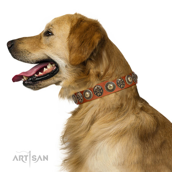 Awesome full grain genuine leather collar for your lovely four-legged friend