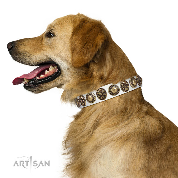 Adjustable genuine leather collar for your beautiful four-legged friend