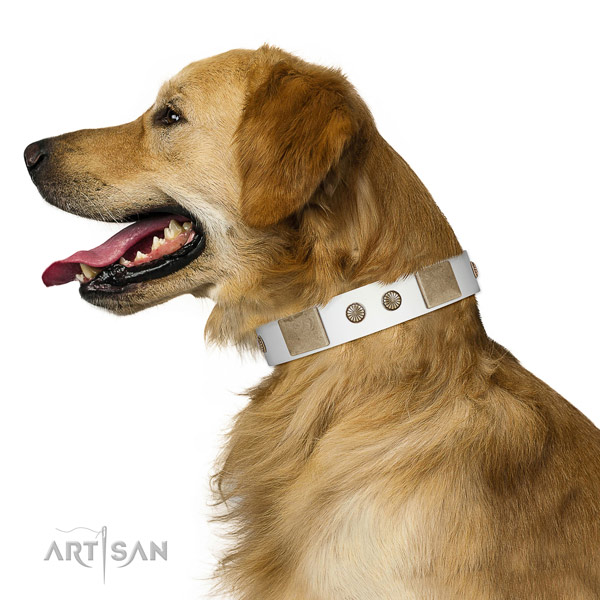 Reliable hardware on full grain genuine leather dog collar for basic training