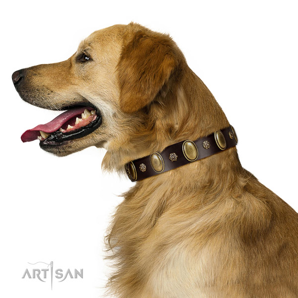 Everyday use reliable leather dog collar with embellishments