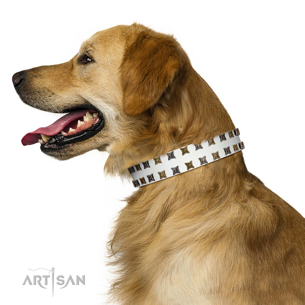 Best quality natural leather dog collar with embellishments for your four-legged friend