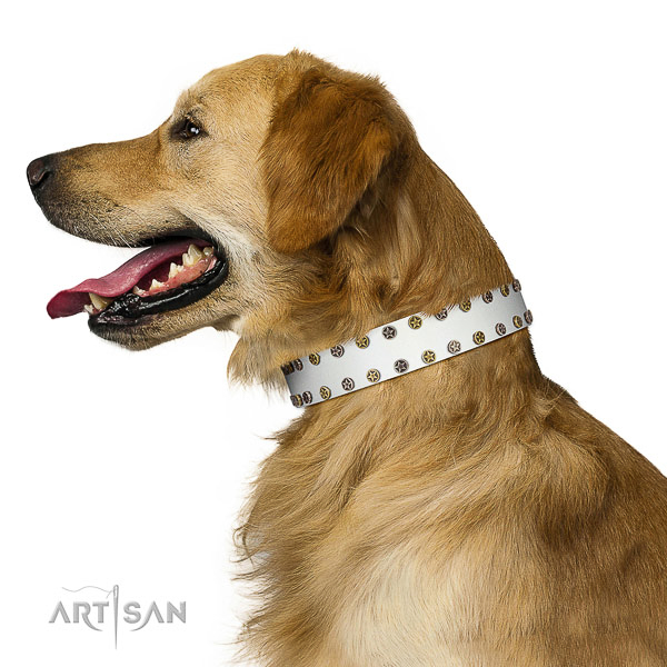 Exceptional full grain genuine leather dog collar with reliable decorations