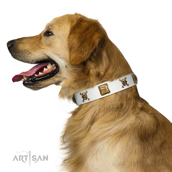 Daily use leather dog collar with adornments