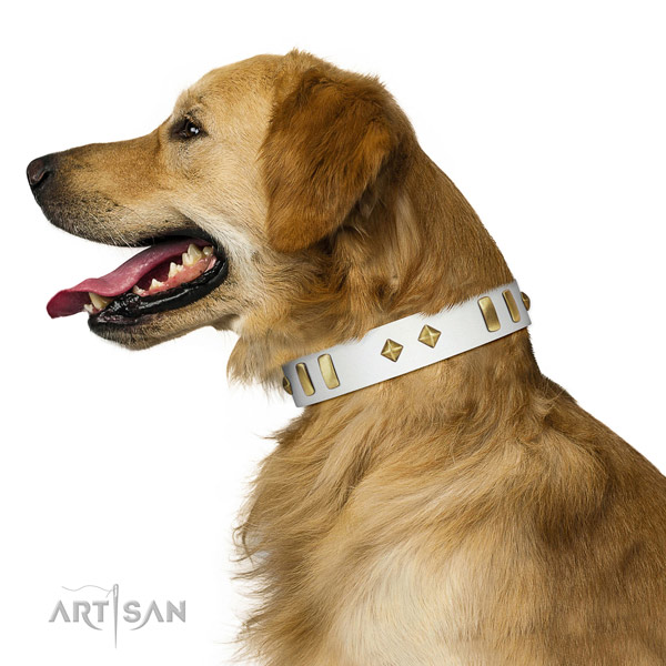 Handy use gentle to touch full grain natural leather dog collar with adornments